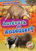 Aardvark_or_anteater_