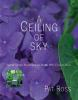 A_ceiling_of_sky