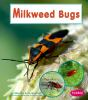Milkweed_bugs