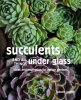 Succulents_and_All_things_Under_Glass